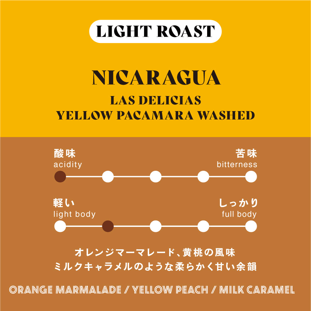 【浅煎り】ニカラグア/Las Delicias Yellow Pacamara Washed
