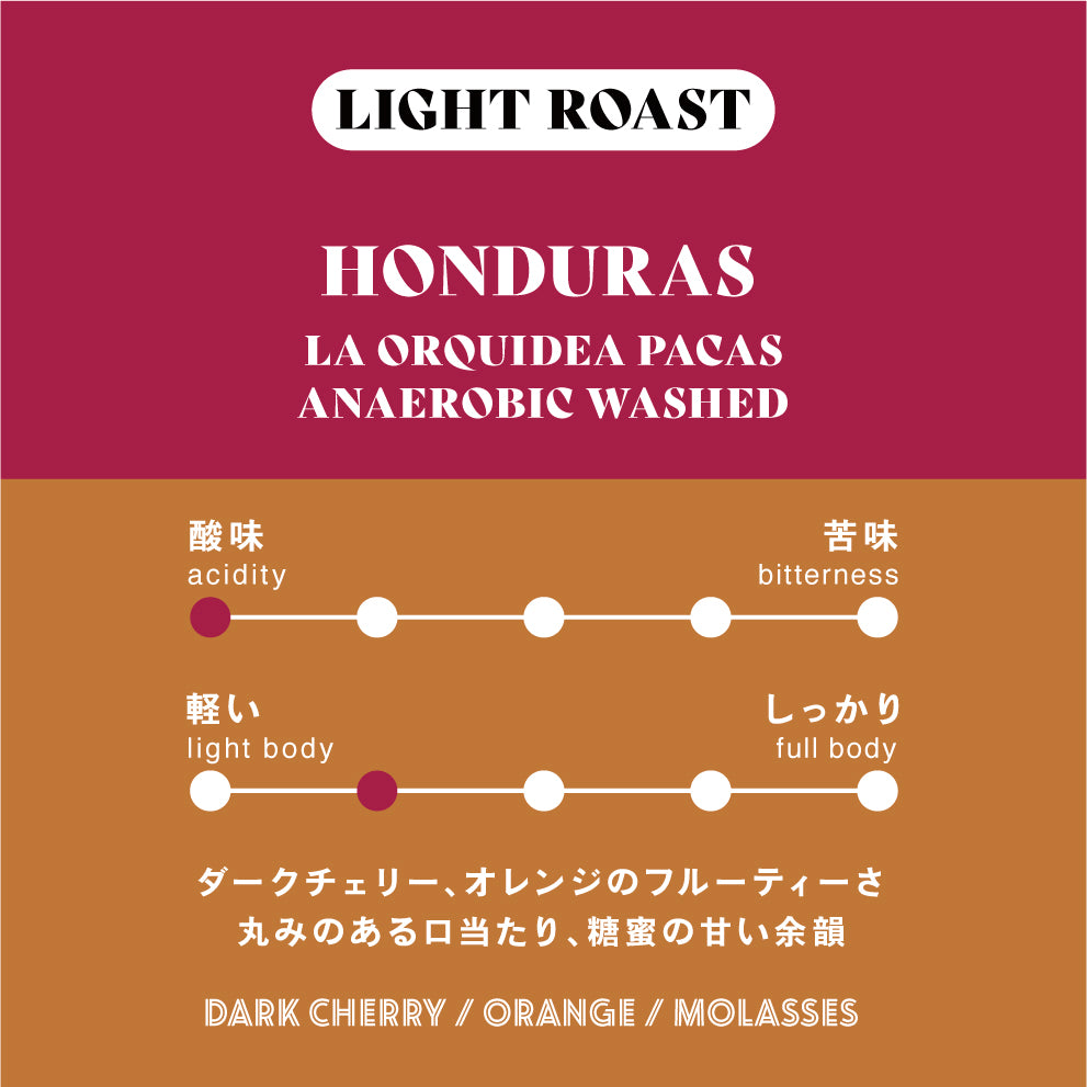 <8/11より順次発送>【浅煎り】ホンジュラス／La Orquidea Pacas Anaerobic Washed